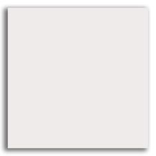 Porcelanato 58x58cm Tipo C Cinza Cristal Polido Tecnogres.jpg